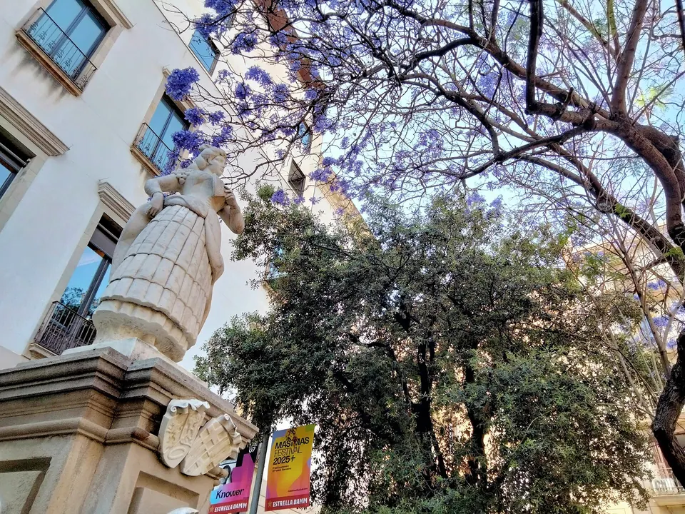 Ateneu Barcelonès (1/2)